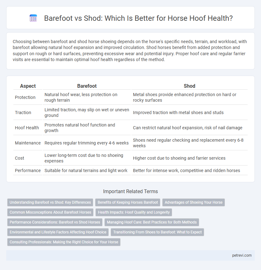 Barefoot vs Shod: Which Is Better for Horse Hoof Health?