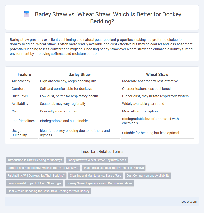 Barley Straw vs. Wheat Straw: Which Is Better for Donkey Bedding?