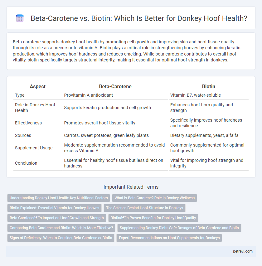 Beta-Carotene vs. Biotin: Which Is Better for Donkey Hoof Health?