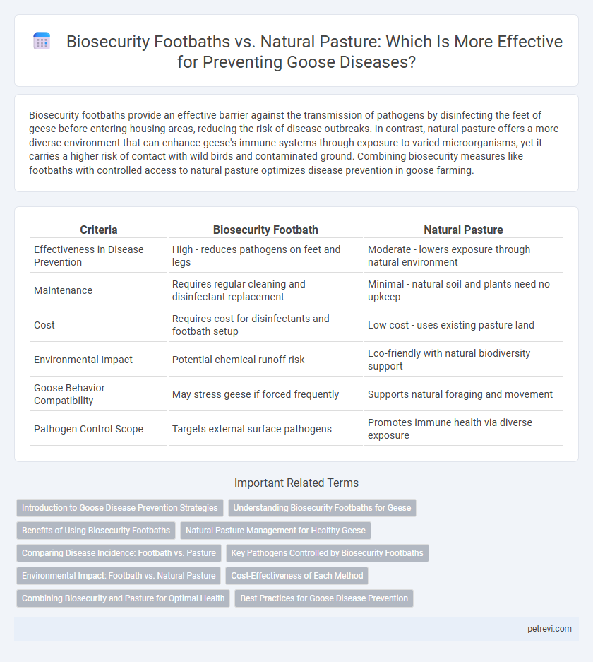 Biosecurity Footbaths vs. Natural Pasture: Which Is More Effective for Preventing Goose Diseases?