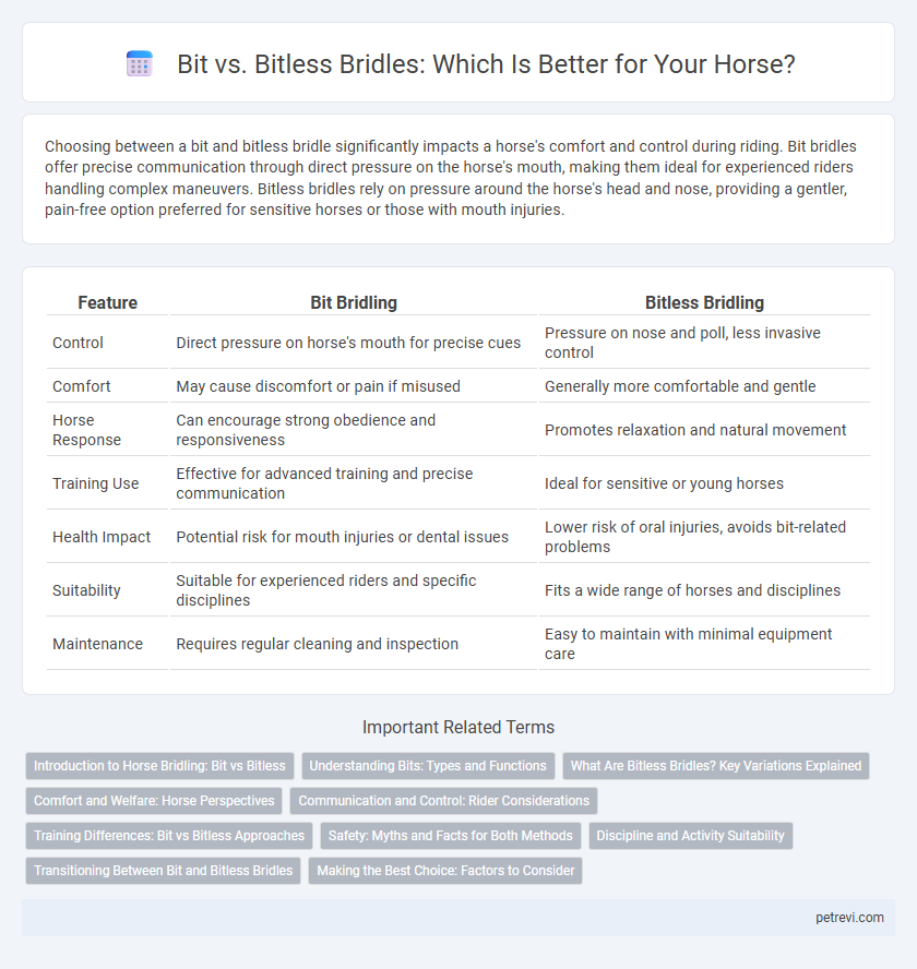 Bit vs. Bitless Bridles: Which Is Better for Your Horse?