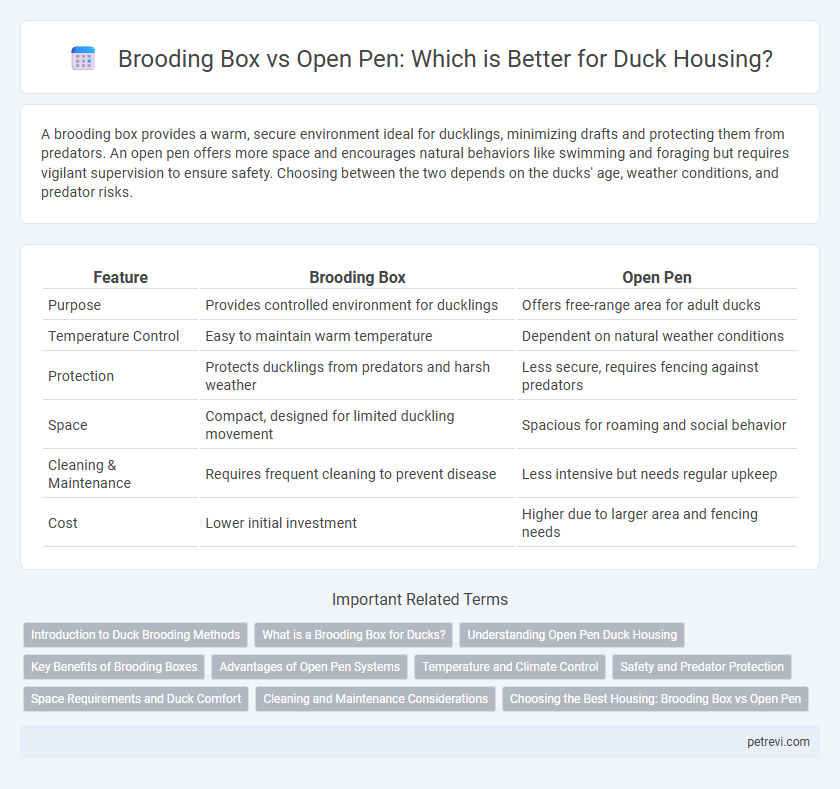 Brooding Box vs Open Pen: Which is Better for Duck Housing?