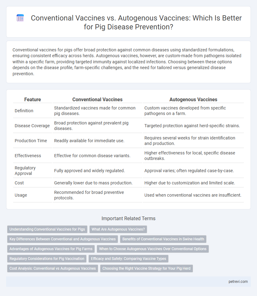 Conventional Vaccines vs. Autogenous Vaccines: Which Is Better for Pig Disease Prevention?