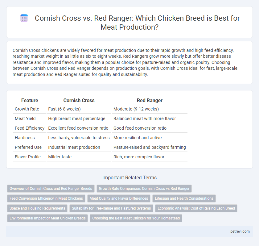 Cornish Cross vs. Red Ranger: Which Chicken Breed is Best for Meat Production?