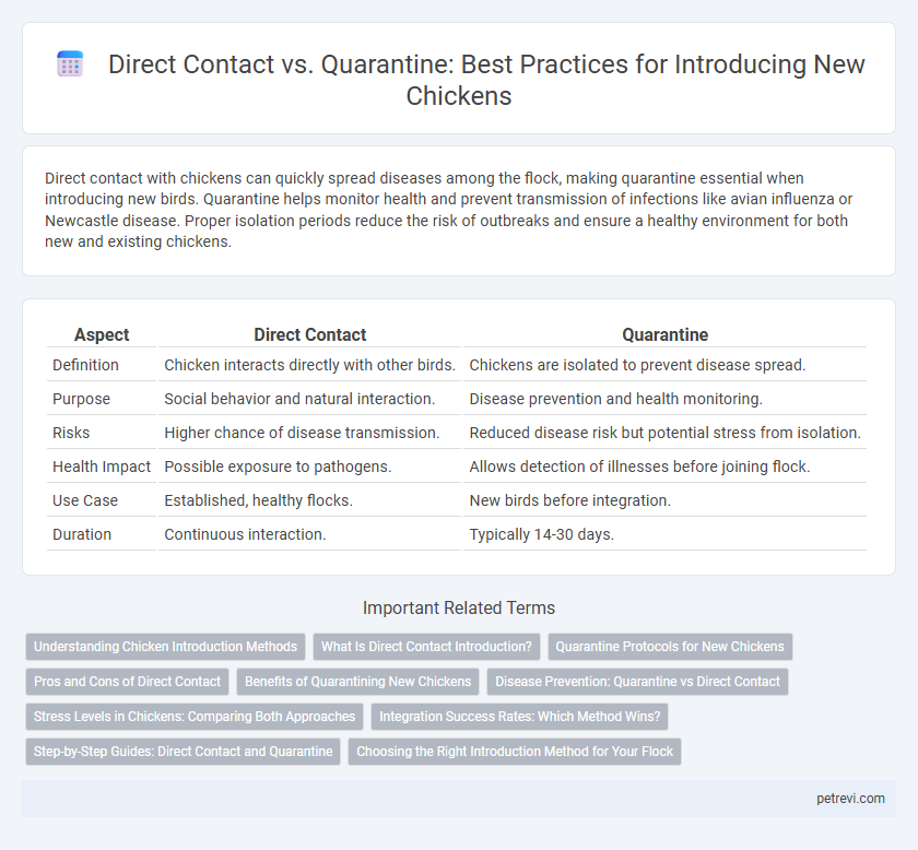 Direct Contact vs. Quarantine: Best Practices for Introducing New Chickens