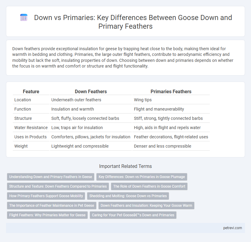 Down vs Primaries: Key Differences Between Goose Down and Primary Feathers