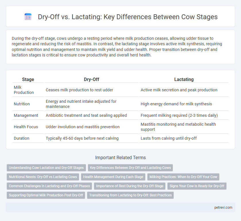 Dry-Off vs. Lactating: Key Differences Between Cow Stages