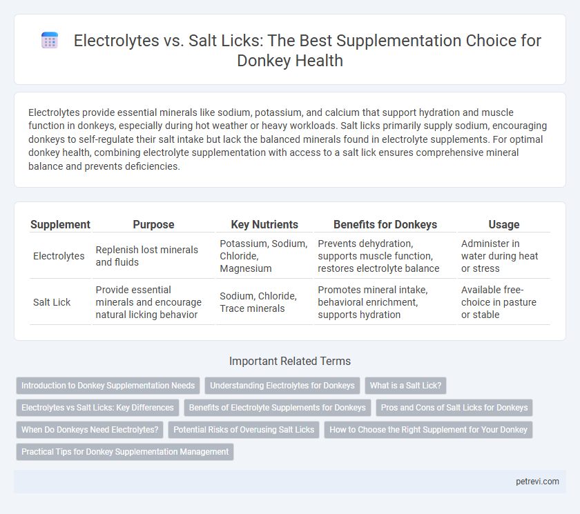 Electrolytes vs. Salt Licks: The Best Supplementation Choice for Donkey Health