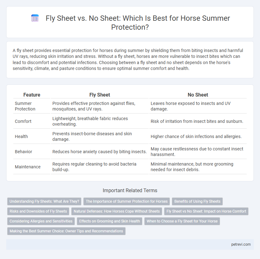 Fly Sheet vs. No Sheet: Which Is Best for Horse Summer Protection?