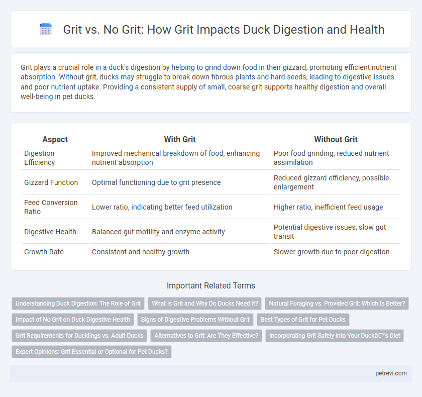 Grit vs. No Grit: How Grit Impacts Duck Digestion and Health