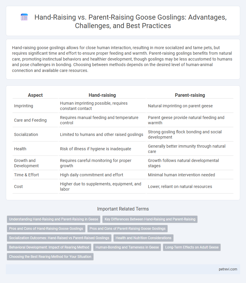 Hand-Raising vs. Parent-Raising Goose Goslings: Advantages, Challenges, and Best Practices