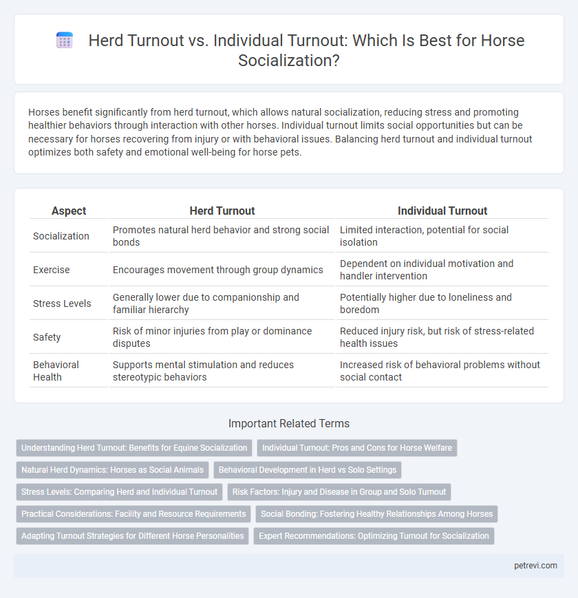 Herd Turnout vs. Individual Turnout: Which Is Best for Horse Socialization?