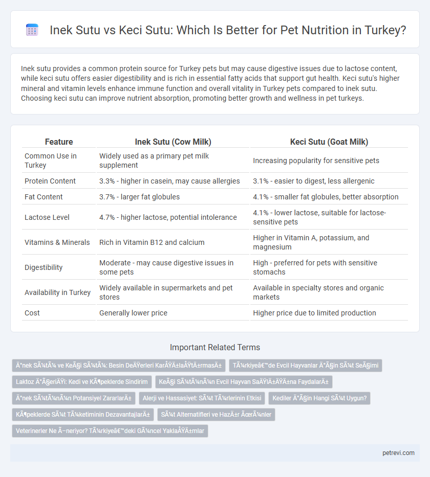 Inek Sutu vs Keci Sutu: Which Is Better for Pet Nutrition in Turkey?