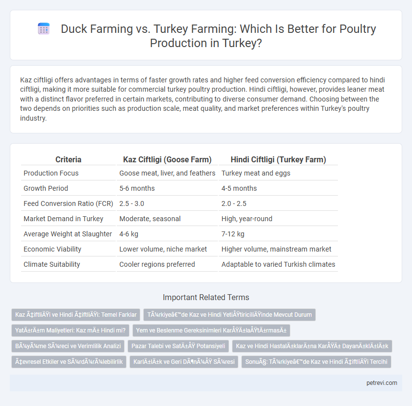 Duck Farming vs. Turkey Farming: Which Is Better for Poultry Production in Turkey?