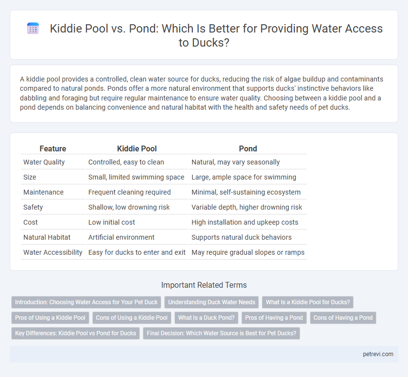 Kiddie Pool vs. Pond: Which Is Better for Providing Water Access to Ducks?