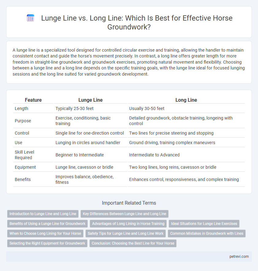 Lunge Line vs. Long Line: Which Is Best for Effective Horse Groundwork?