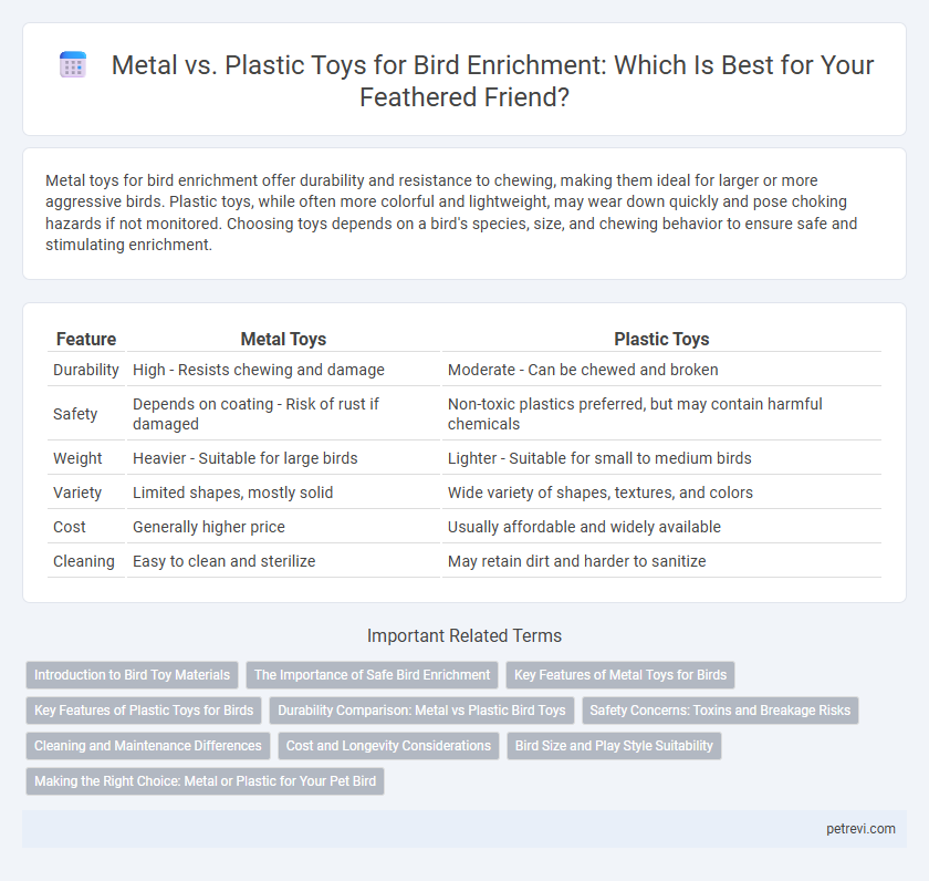 Metal vs. Plastic Toys for Bird Enrichment: Which Is Best for Your Feathered Friend?