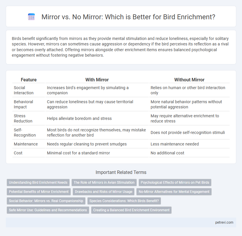 Mirror vs. No Mirror: Which is Better for Bird Enrichment?