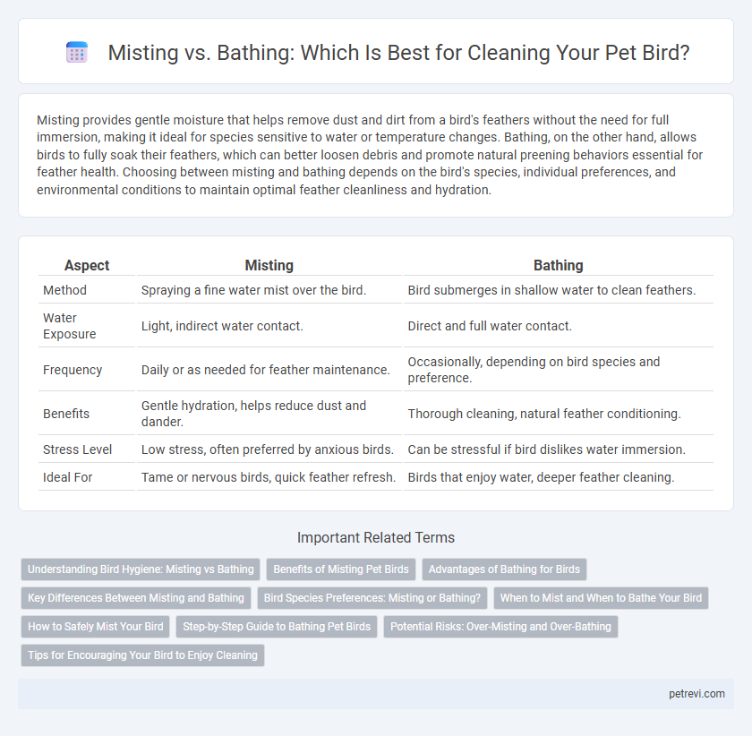 Misting vs. Bathing: Which Is Best for Cleaning Your Pet Bird?