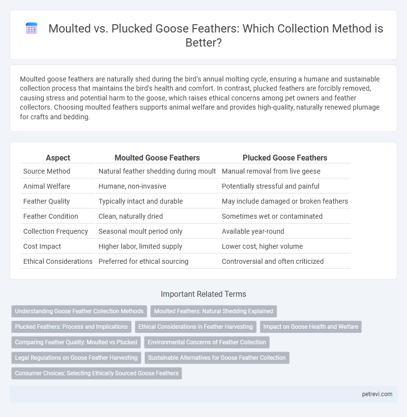 Moulted vs. Plucked Goose Feathers: Which Collection Method is Better?