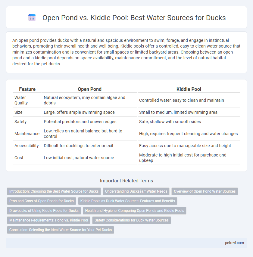 Open Pond vs. Kiddie Pool: Best Water Sources for Ducks