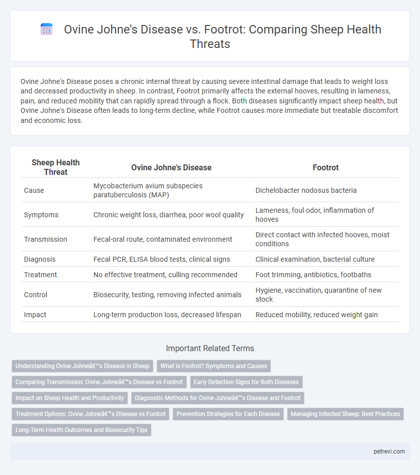Ovine Johne's Disease vs. Footrot: Comparing Sheep Health Threats