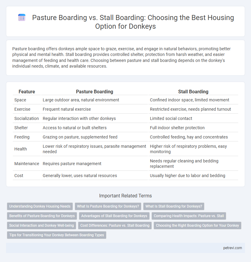 Pasture Boarding vs. Stall Boarding: Choosing the Best Housing Option for Donkeys