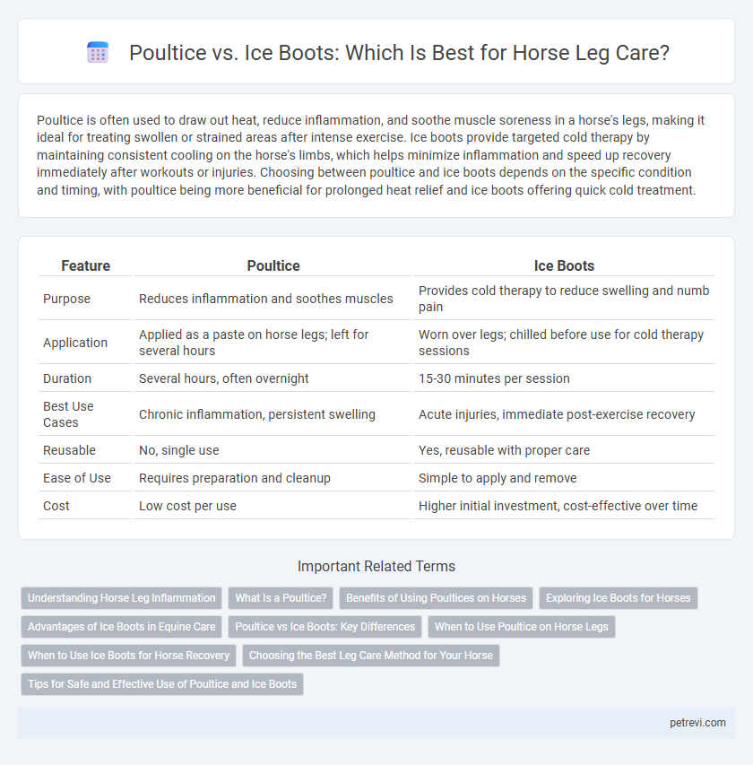 Poultice vs. Ice Boots: Which Is Best for Horse Leg Care?