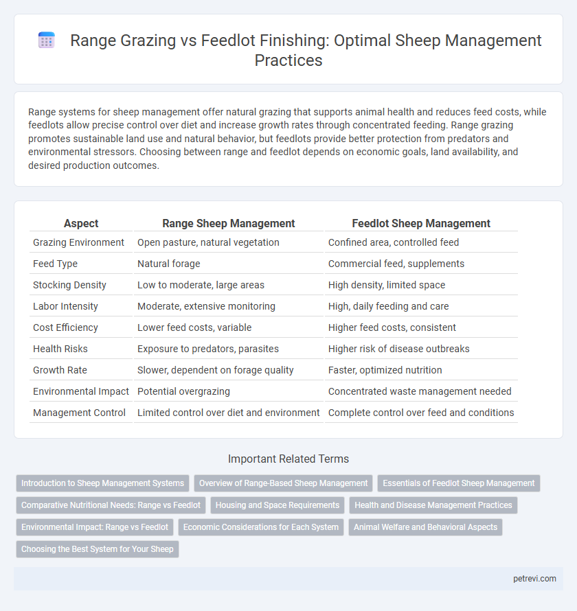 Range Grazing vs Feedlot Finishing: Optimal Sheep Management Practices