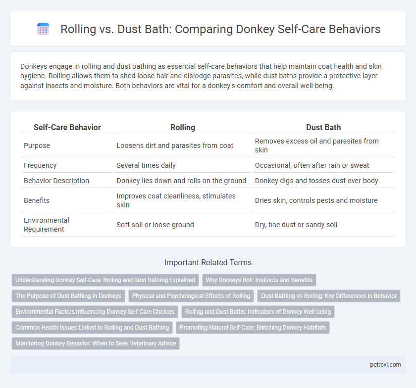Rolling vs. Dust Bath: Comparing Donkey Self-Care Behaviors