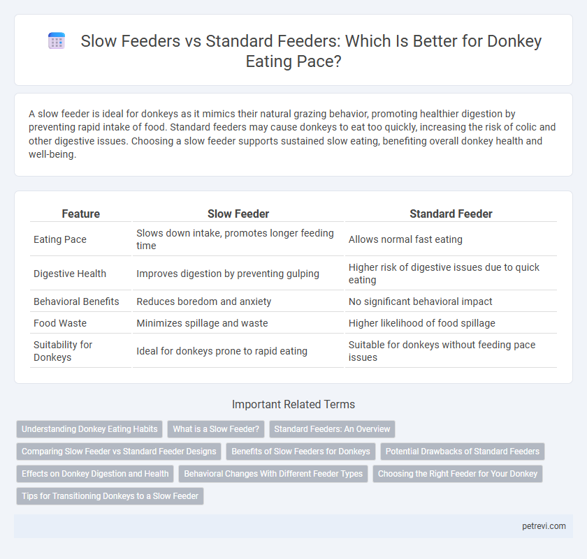 Slow Feeders vs Standard Feeders: Which Is Better for Donkey Eating Pace?