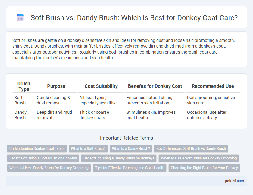Soft Brush vs. Dandy Brush: Which is Best for Donkey Coat Care?