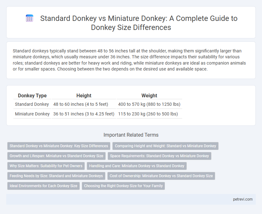 Standard Donkey vs Miniature Donkey: A Complete Guide to Donkey Size Differences
