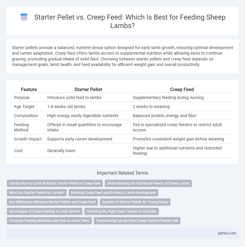 Starter Pellet vs. Creep Feed: Which Is Best for Feeding Sheep Lambs?