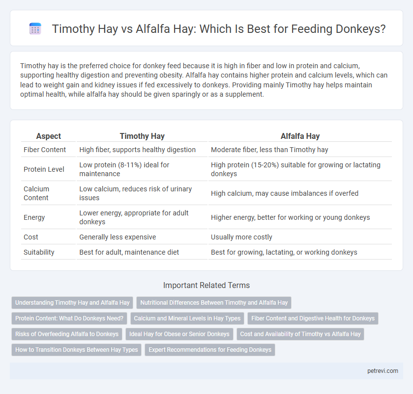 Timothy Hay vs Alfalfa Hay: Which Is Best for Feeding Donkeys?