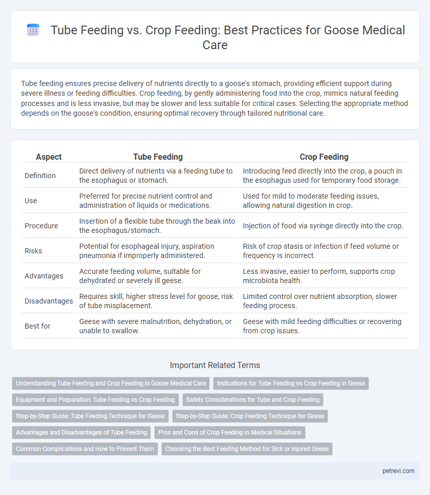 Tube Feeding vs. Crop Feeding: Best Practices for Goose Medical Care