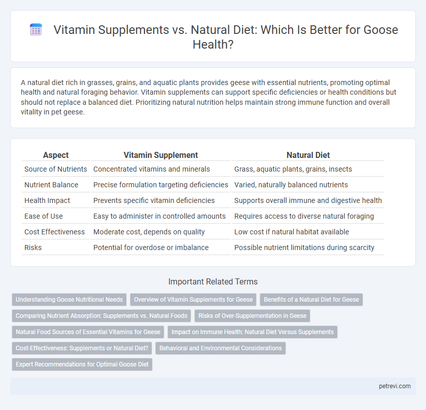 Vitamin Supplements vs. Natural Diet: Which Is Better for Goose Health?