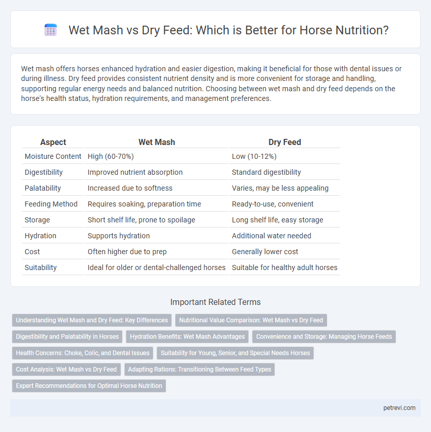 Wet Mash vs Dry Feed: Which is Better for Horse Nutrition?