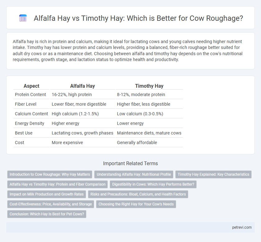 Alfalfa Hay vs Timothy Hay: Which is Better for Cow Roughage?