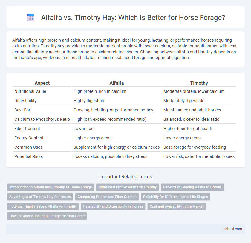 Alfalfa vs. Timothy Hay: Which Is Better for Horse Forage?