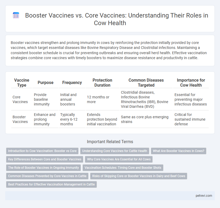 Booster Vaccines vs. Core Vaccines: Understanding Their Roles in Cow Health