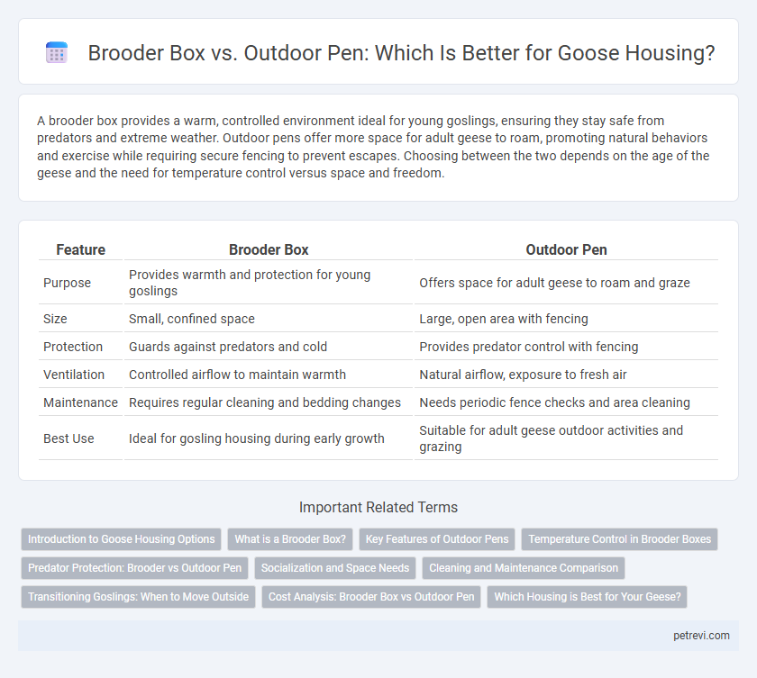 Brooder Box vs. Outdoor Pen: Which Is Better for Goose Housing?