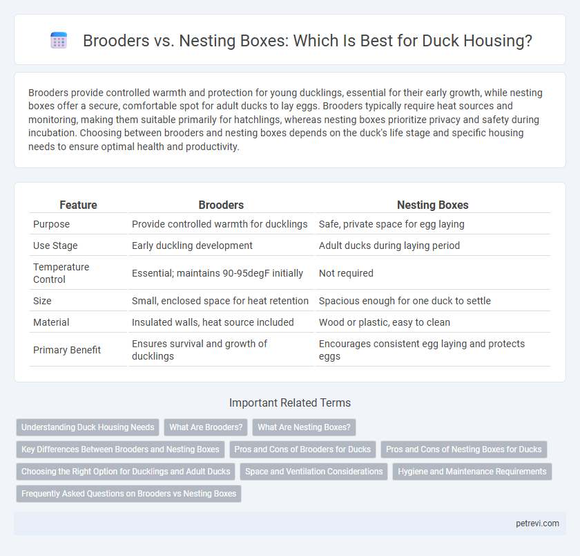 Brooders vs. Nesting Boxes: Which Is Best for Duck Housing?
