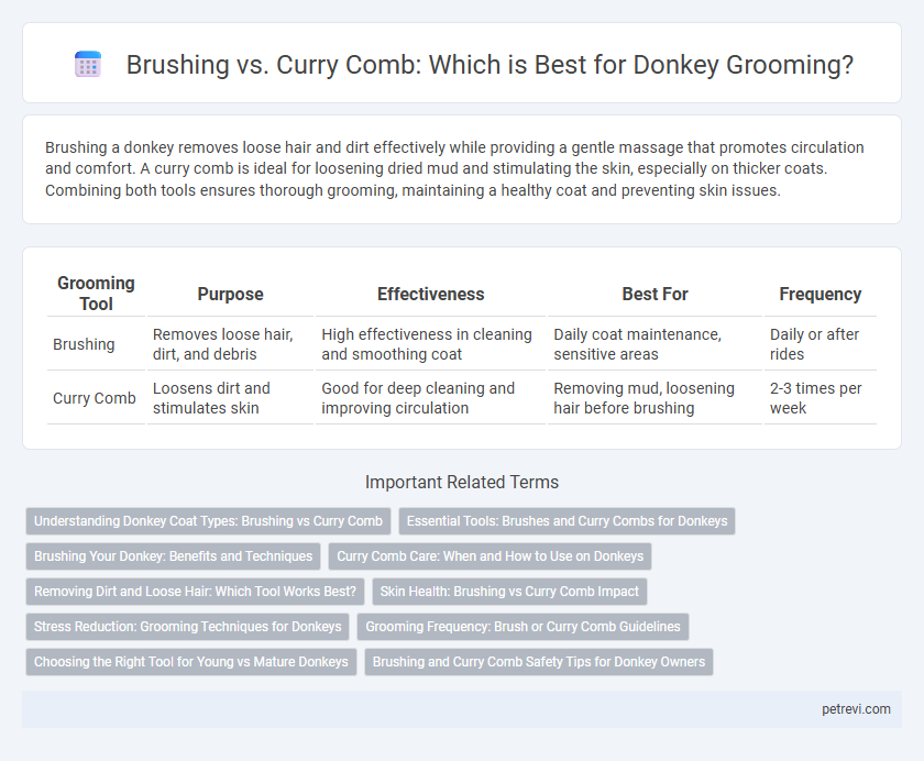 Brushing vs. Curry Comb: Which is Best for Donkey Grooming?