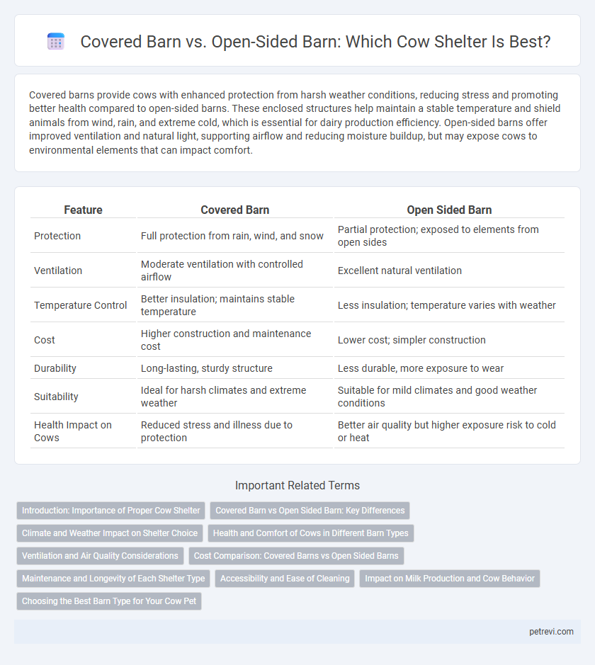 Covered Barn vs. Open-Sided Barn: Which Cow Shelter Is Best?