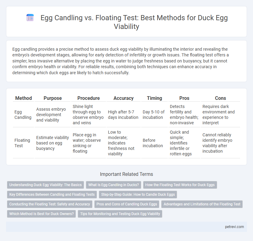 Egg Candling vs. Floating Test: Best Methods for Duck Egg Viability