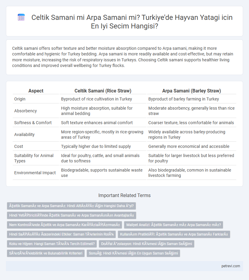 Celtik Samani mi Arpa Samani mi? Turkiye'de Hayvan Yatagi icin En Iyi Secim Hangisi?