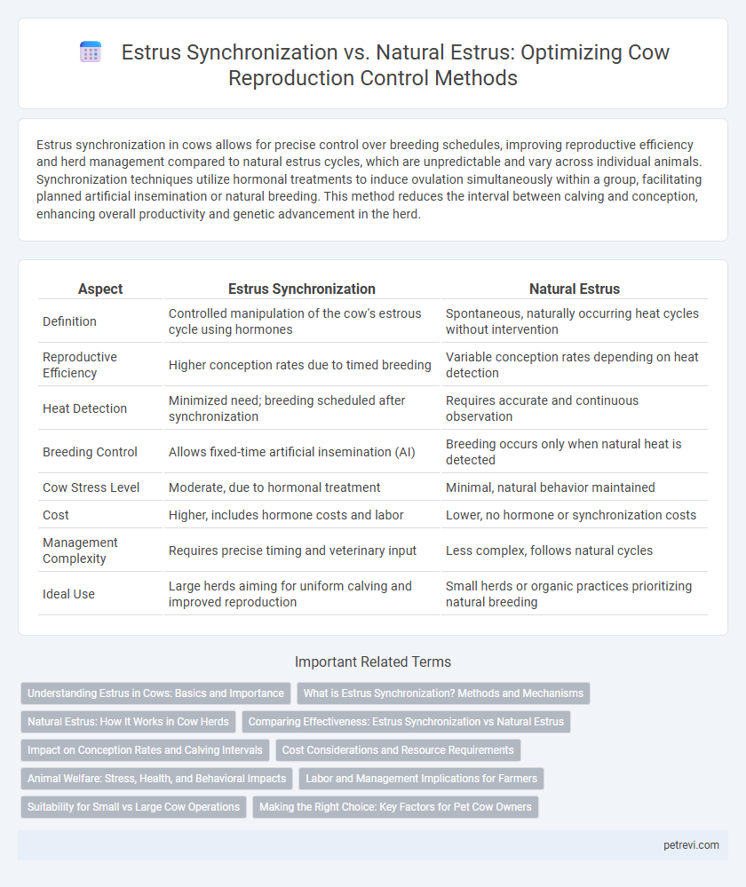 Estrus Synchronization vs. Natural Estrus: Optimizing Cow Reproduction Control Methods