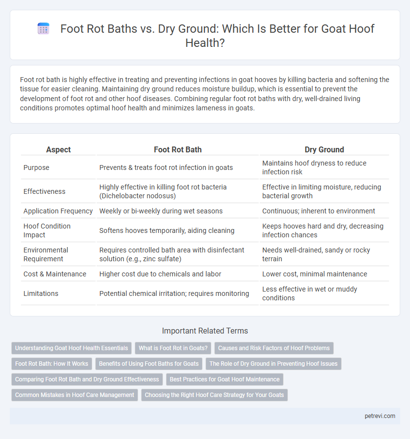 Foot Rot Baths vs. Dry Ground: Which Is Better for Goat Hoof Health?
