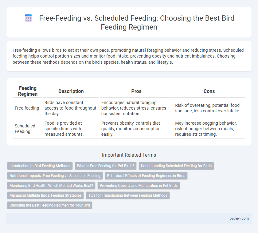Free-Feeding vs. Scheduled Feeding: Choosing the Best Bird Feeding Regimen